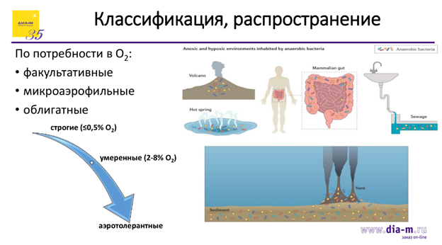 Все ушли, они остались – продолжение. Что кроме весов?