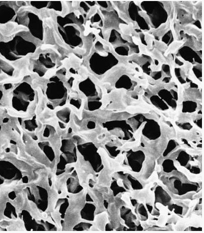 Мембрана, d пор 0,22 мкм, d мембраны 25 мм, поливинилиденфторид (PVDF), гидрофильная, нестерильная, 100 шт