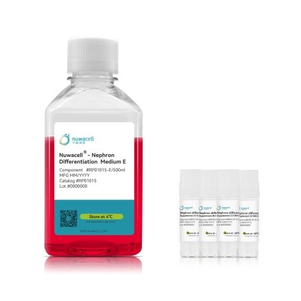 Набор для дифференцировки hPSC в нефроны hPSC-Nephron Differentiation Kit