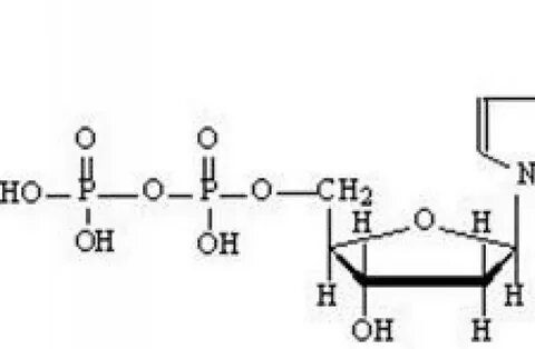 НАДФ-Н (Никотинамид-β-аденин динуклеотид фосфат тетранатриевая соль, NADPH-Na₄), не менее 95%, CDH