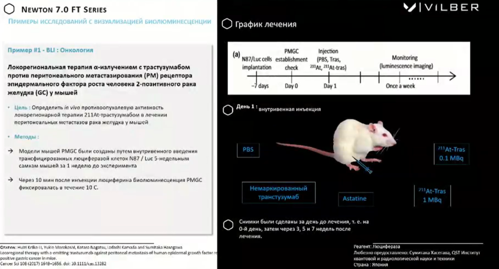 Пример исследования с визуализацией биолюминесценции