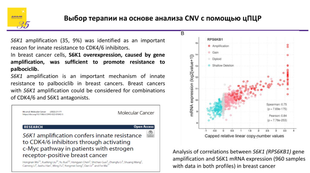 Выбор терапии на основе анализа CNV