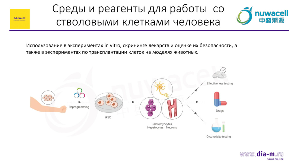 Среды и реагенты для работы со стволовыми клетками человека от Nuwacell