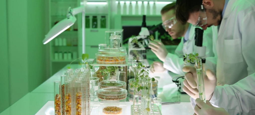 Создание биофармацевтических препаратов