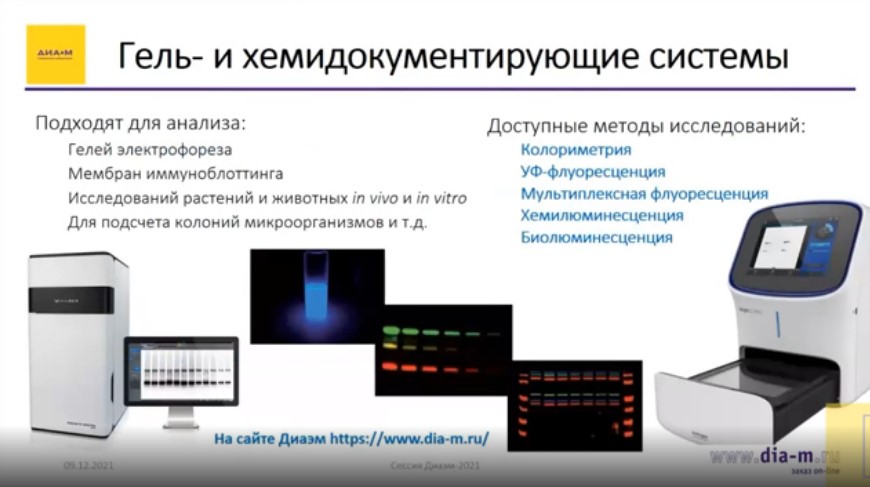 Гель- и хемидокументирующие системы