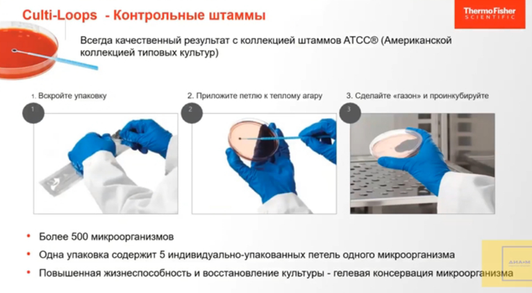 Контрольные штаммы 