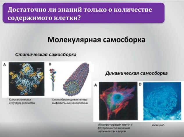 молекулярная самосборка