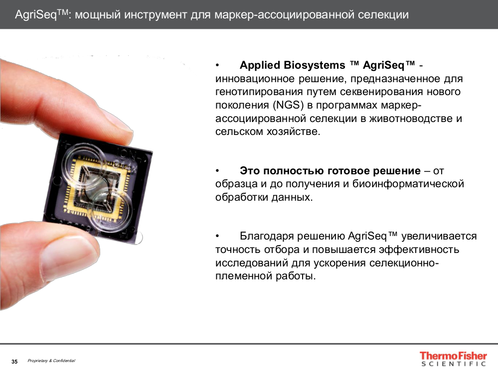 AgriSe: мощный инструмент для маркер-ассоциированной селекции