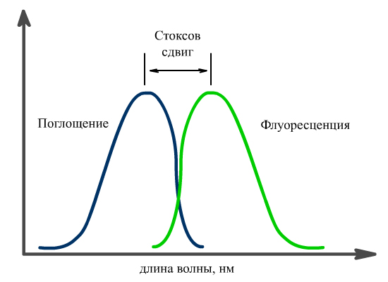 Стоксов сдвиг