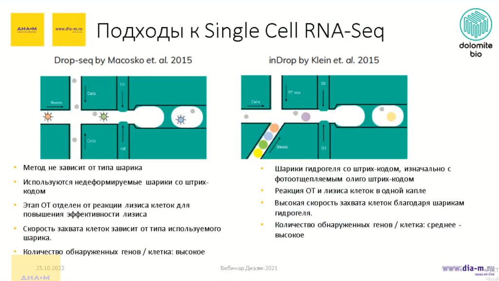 Подходы к Single Cell RNA-Seq