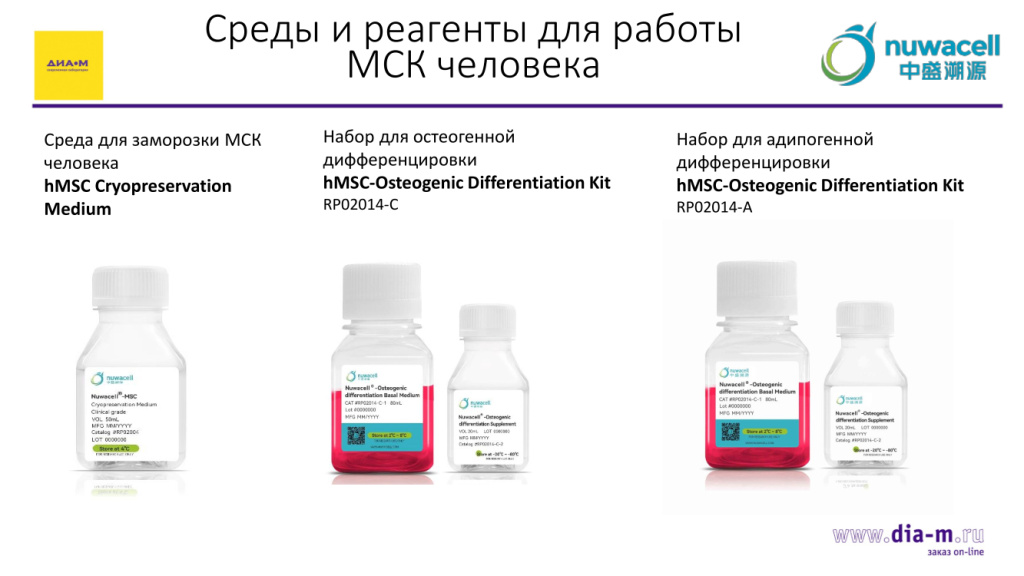Среды и реагенты для работы с мезенхимальными стволовыми клетками человека