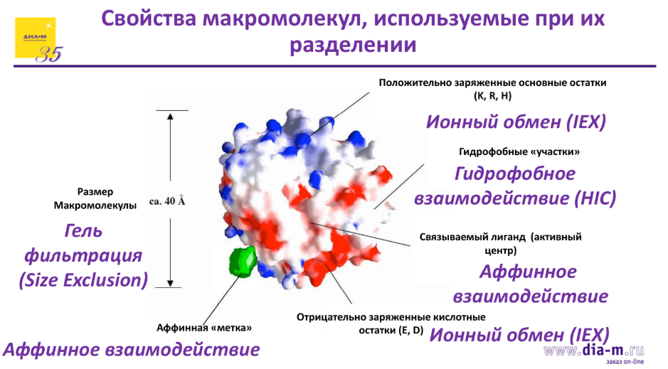 Свойства макромолекул, используемые при их разделении