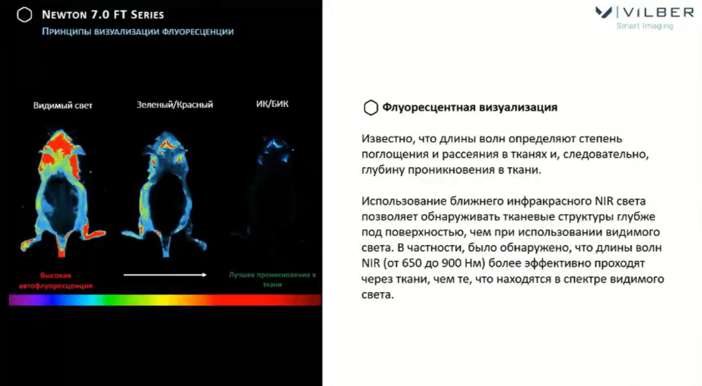 Принципы визуализации флуоресценции