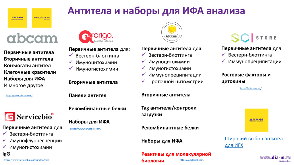 Антитела и наборы для ИФА