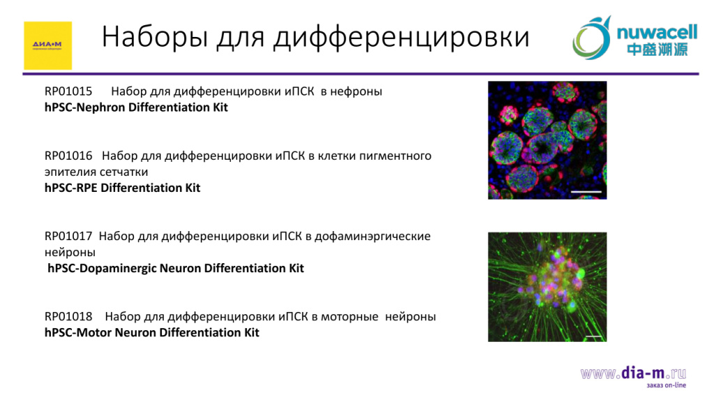 Наборы для дифференцировки