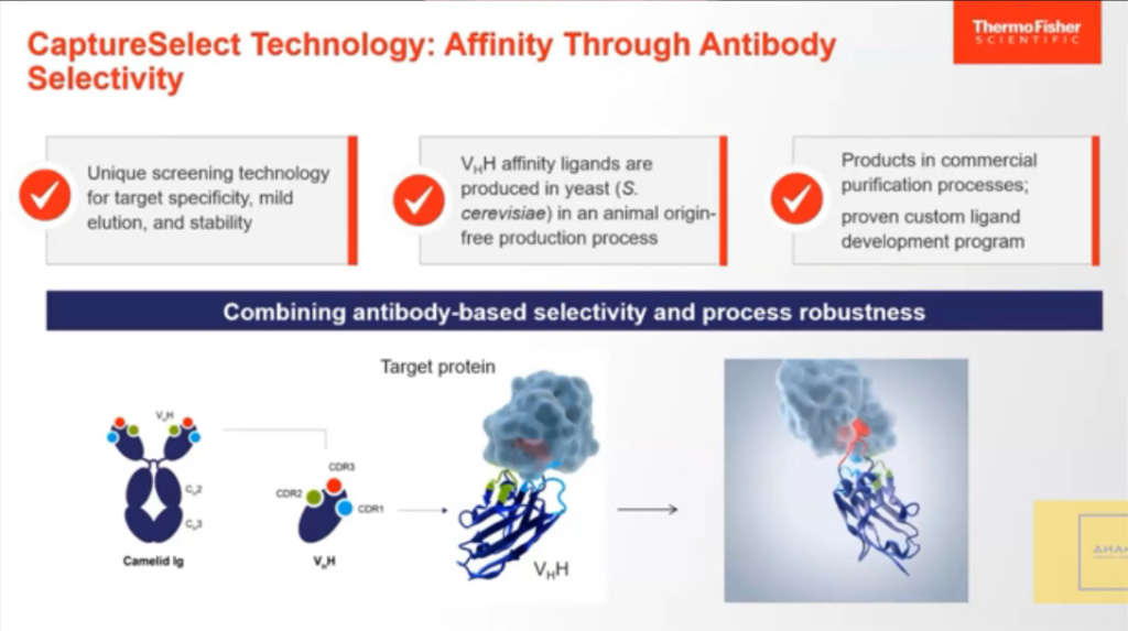 CaptureSelect Technology: affinity Through Antibody Selectivity