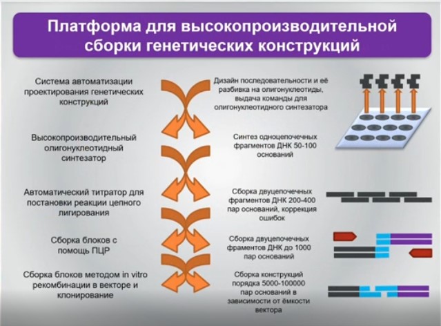 платформа для высокопроизводительной сборки генетических конструкций