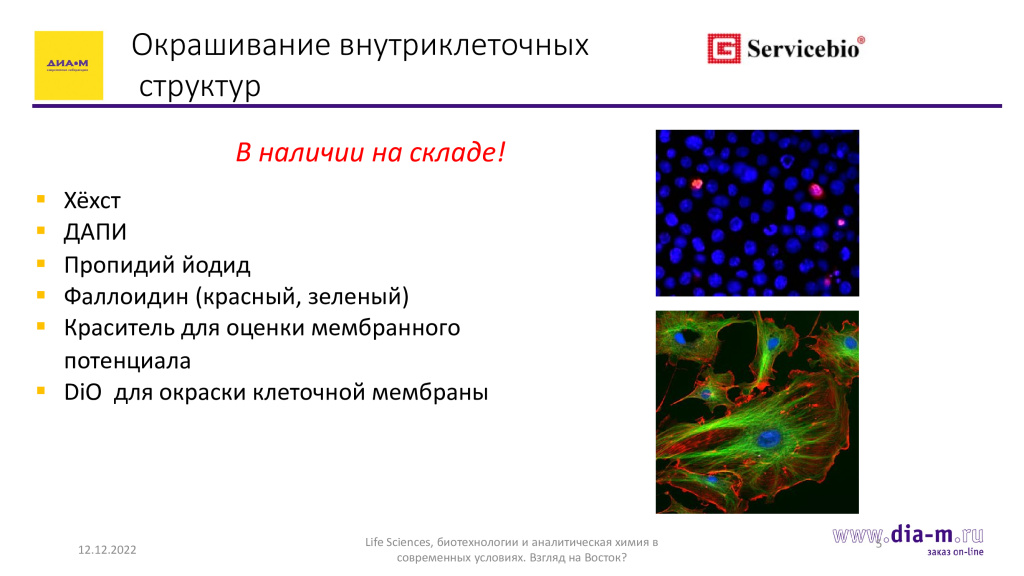 Окрашивание внутриклеточных структур