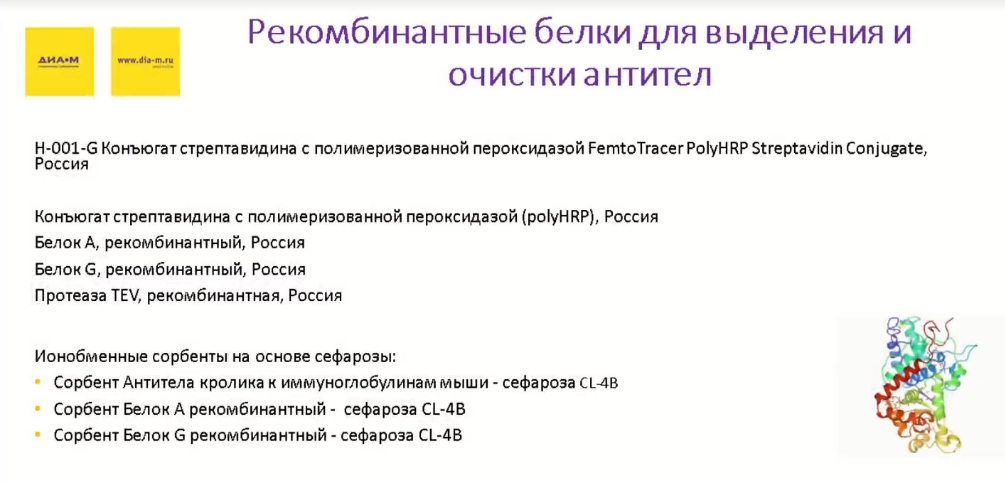 Рекомбинатные белки для выделения и очистки антител
