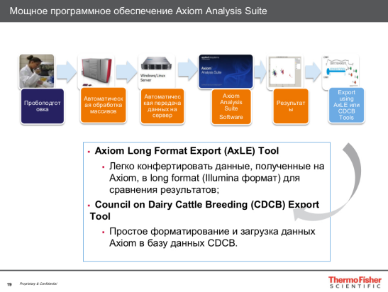 Программное обеспечение