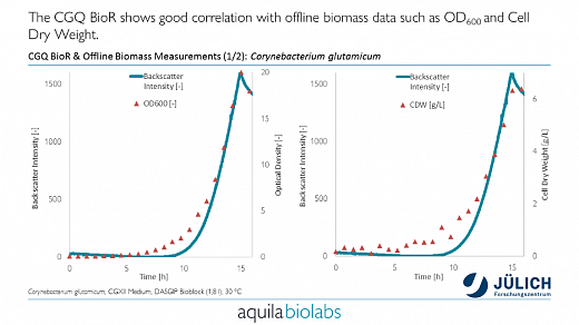 ПО для автоматического онлайн мониторинга биомассы в колбах/биореакторах, cgQuant Фото 9