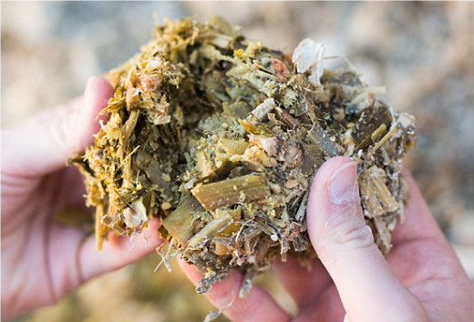 Анализатор элементного состава грубых кормов, Micral LIBS, в работе