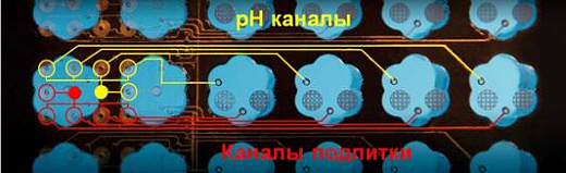Планшет 48-лун. с лепестковыми лунками Flower Plate, микрофлюидный, прозрачное дно, рН- и O₂-оптоды, 1 шт. Фото 2