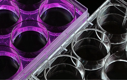 Планшеты культуральные 6-лун. EDGE и стандартные (крупный план), Nest, Китай