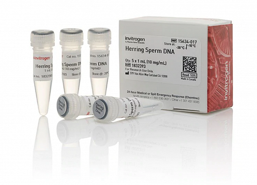 Раствор ДНК спермы сельди/Herring Sperm DNA Solution
