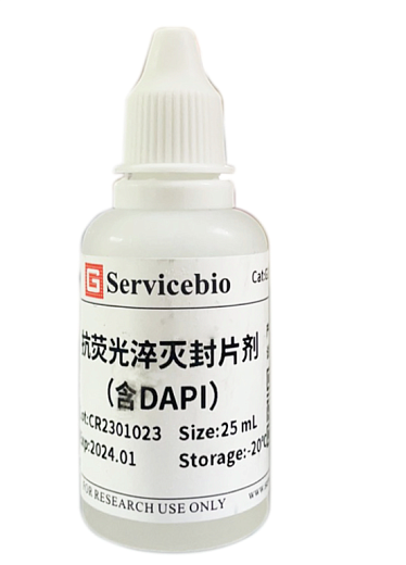 Среда монтирующая для фиксации гистологических препаратов на стекле (Antifade Mounting Media), с ДАПИ, 25 мл, Servicebio, Китай, Артикул G1407-25ML