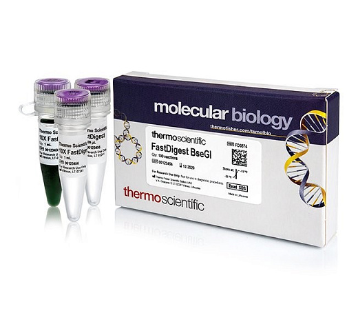 Эндонуклеаза рестрикции BseGI Fast Digest для ускоренного гидролиза ДНК, Fermentas