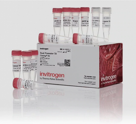 Набор для клонирования TA Cloning Kit, Dual Promoter, with pCR II Vector, компетентные клетки не включены