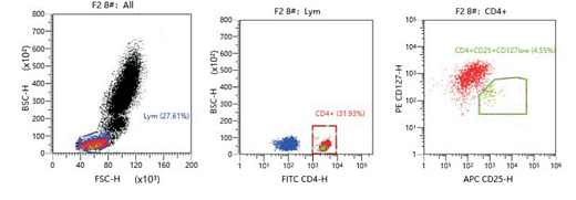 Рисунок 1. Схема анализ регуляторных Т-клеток