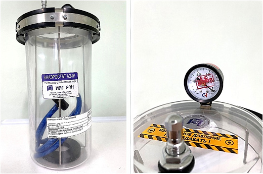 Анаэростат, 10 чашек Петри d 100 мм, 3 л, корпус из метилметакрилата, крышка с манометром
