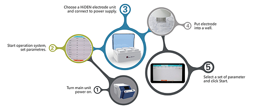 Электропоратор для всех типов клеток, статичная электропорация, X-Porator H1, Etta Biotech, рабочий процесс
