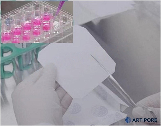 Биосовместимая нановолокнистая подложка на основе гидрогеля NanoFibers, толщина подложки 60 мкм