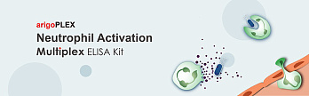 Набор ИФА arigoPLEX Human Proinflammatory Cytokine (IL1 beta, IFN gamma, TNF alpha, IL6), 96 тестов, Arigobio, Китай