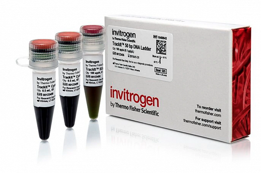 Маркер длин ДНК TrackIt 50 bp DNA Ladder, 17 фрагментов от 50 до 2500 п.н.; готовый к применению; 0,1 мкг/мкл Фото 2