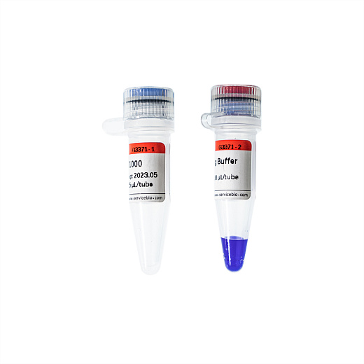 Маркер длин РНК 1000, 7 фрагментов от 100 до 1000 п.н., арт.G3371-25UL