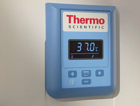 Термостат, до +75 °С, 747 л, естественная вентиляция, IGS750, Heratherm General Protocol, Thermo FS