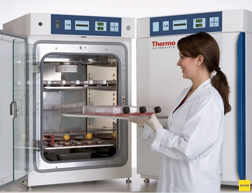 CO₂-инкубатор, 184 л, водяная рубашка, ТК-датчик, мультигазовый, 8000 WJ 3425 Фото 1