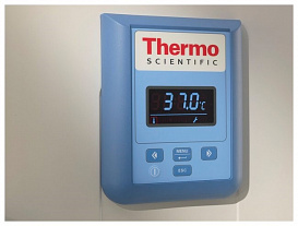 Термостат, до +75 °С, 405 л, естественная вентиляция, IGS400 General Protocol, Thermo FS