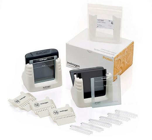 Система мокрого блоттинга Mini Gel с набором для заливки гелей  SureCast Gel, электроды в виде пластин, площадь 85х80 мм, с камерой и крышкой Фото 3