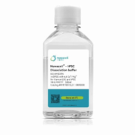 Буфер для диссоциации клеток hPSC Dissociation Buffer