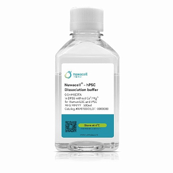 Буфер для диссоциации клеток hPSC Dissociation Buffer