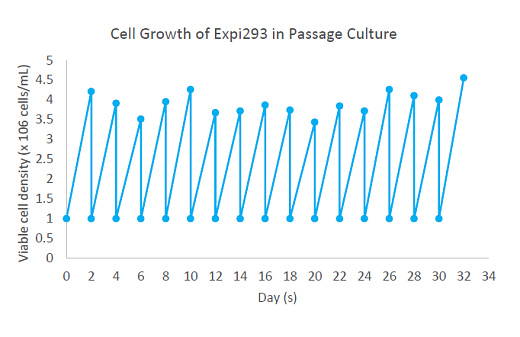 Долговременный рост в пассажной культуре. Период удвоения клеток линии 293 составляет приблизительно 23-26 часов.