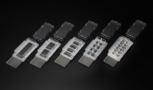 Форматы слайдов клеточных культур — 1 камерные; 2-камерные; 4-камерные; 8-камерные; 12-камерные.