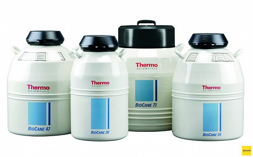 Криохранилище 20,5 л, 150 образцов, d горла 51 мм, Bio-Cane 20