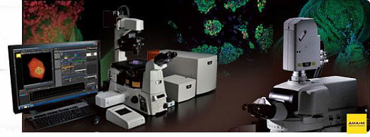 Микроскоп конфокальный C2+, лазерный, сканирующий