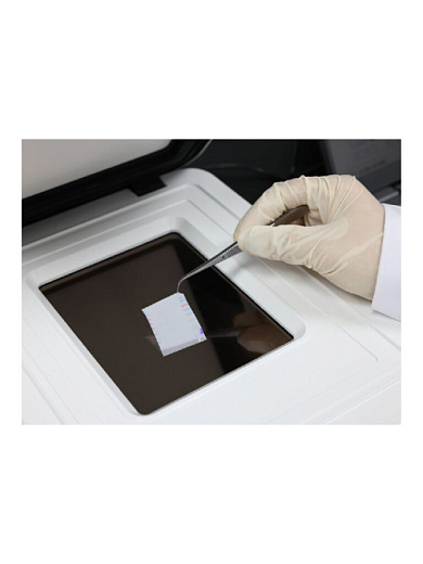 Хемидокументирующая система qTouch, без ПК, RWD Life Science, Китай